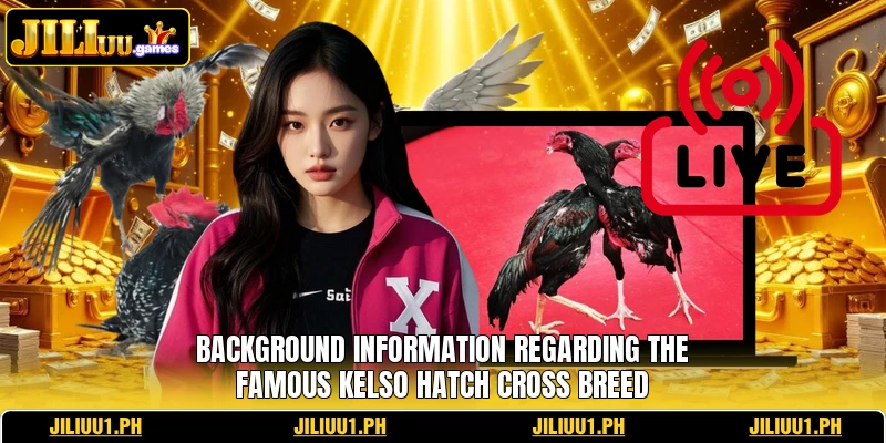 Background information regarding the famous Kelso Hatch Cross breed