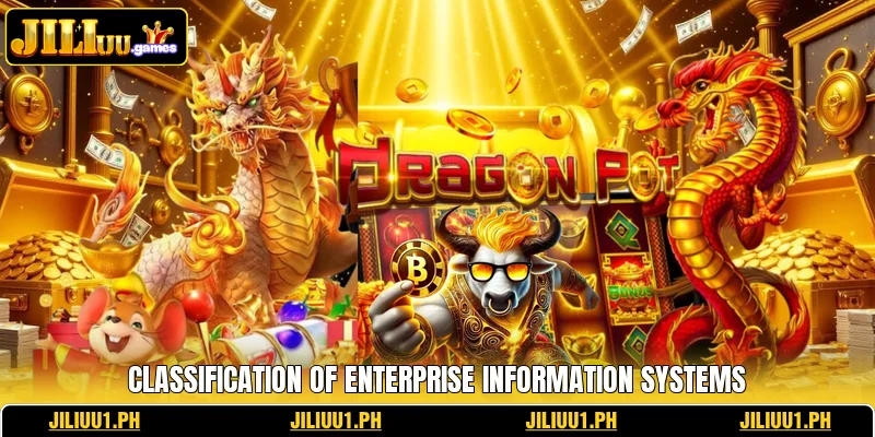 Classification of enterprise information systems