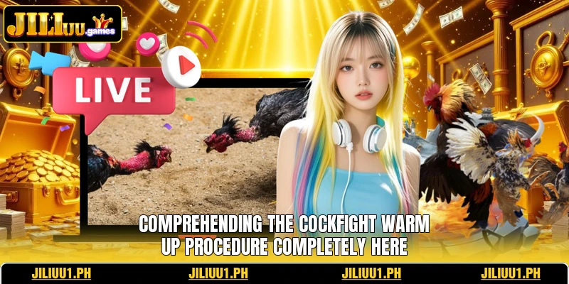 Comprehending the Cockfight Warm Up procedure completely here Comprehending the Cockfight Warm Up procedure completely here