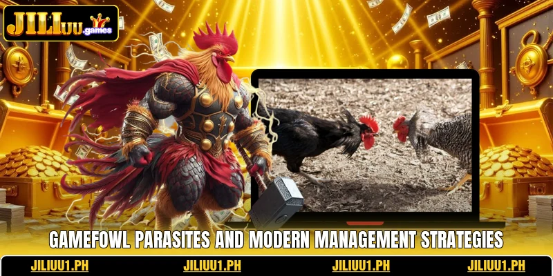 Gamefowl Parasites And Modern Management Strategies