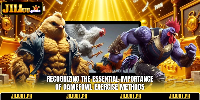 Recognizing the essential importance of gamefowl exercise methods