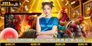 Rooster Conditioning Tactics Enhance Online Betting Results