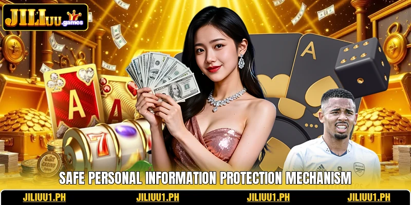 Safe personal information protection mechanism