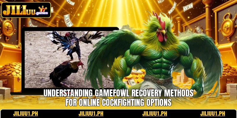 Understanding Gamefowl Recovery methods for online cockfighting options