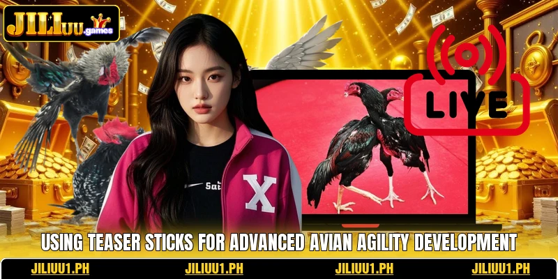 Using teaser sticks for advanced avian agility development